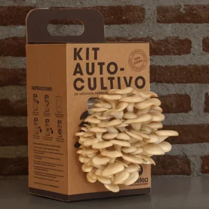 Kit de Cultivo de Setas en Casa