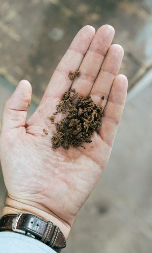 photo-1727620338160-489b7c3dc4c7